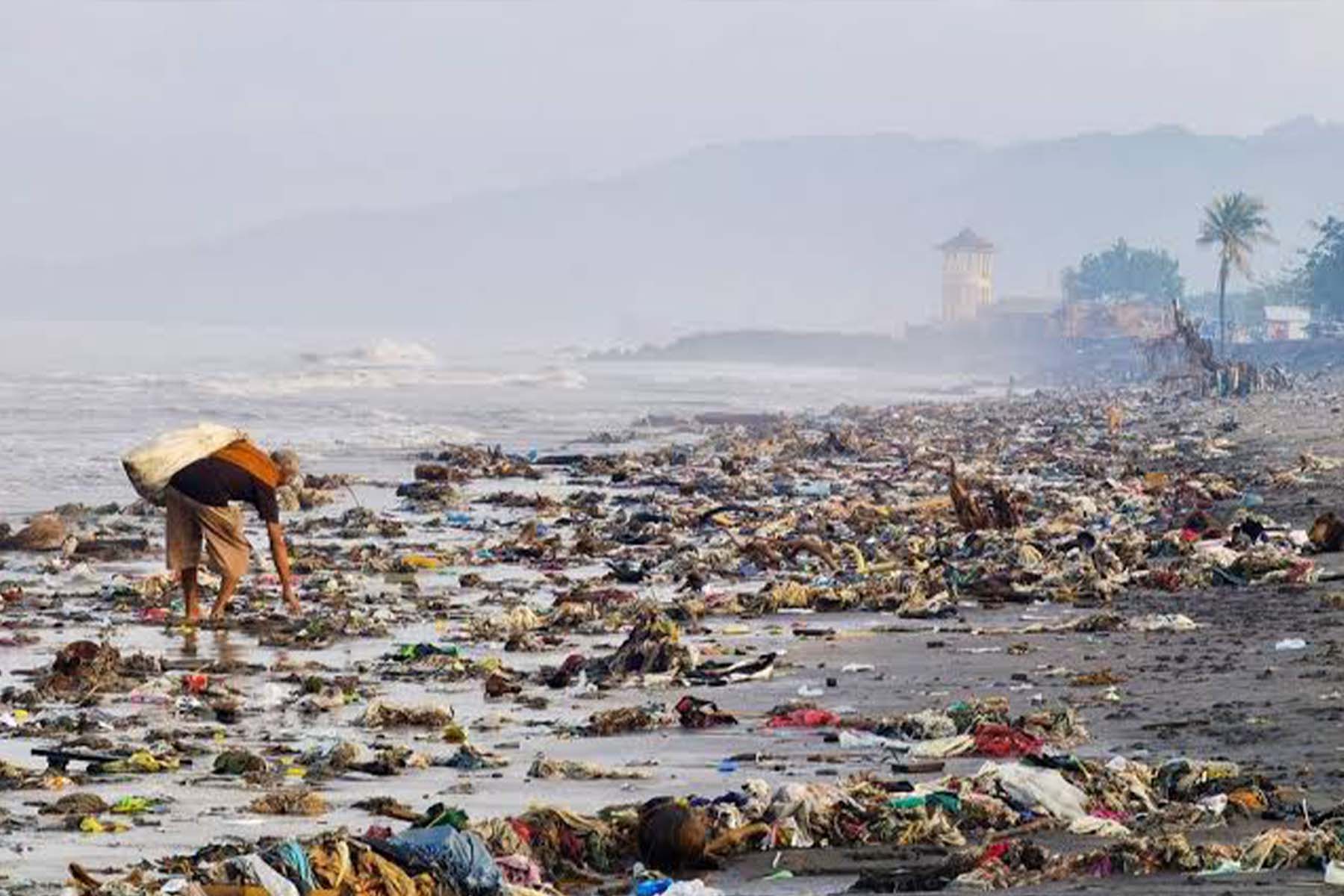 DLHK Sebut Program Unggulan Zero Waste Gubernur NTB Sudah Efektif - NTBSatu