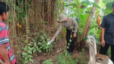 Warga Lombok Timur temukan bayi