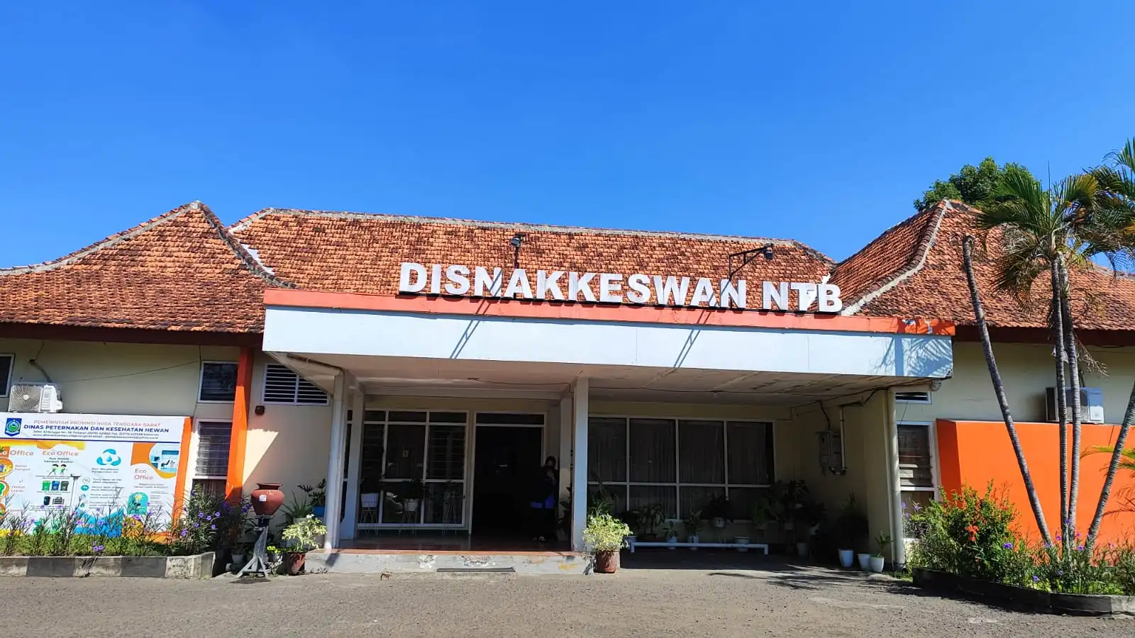 ayam