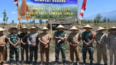 Pemkab Lombok Timur Luncurkan Pupuk Organik Rumput Laut