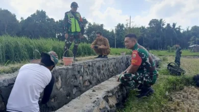 Program TNI Manunggal Membangun Desa