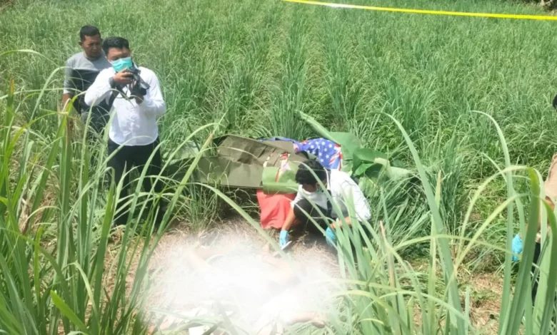 Warga Keroya Ditemukan Tewas di Sawah