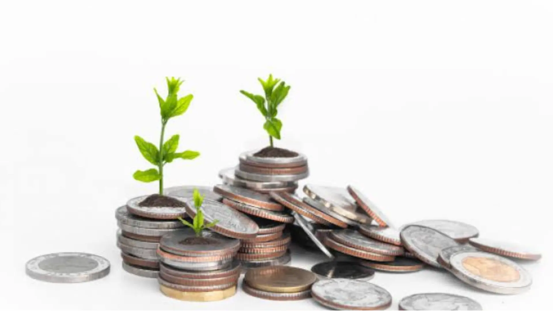 Investasi
