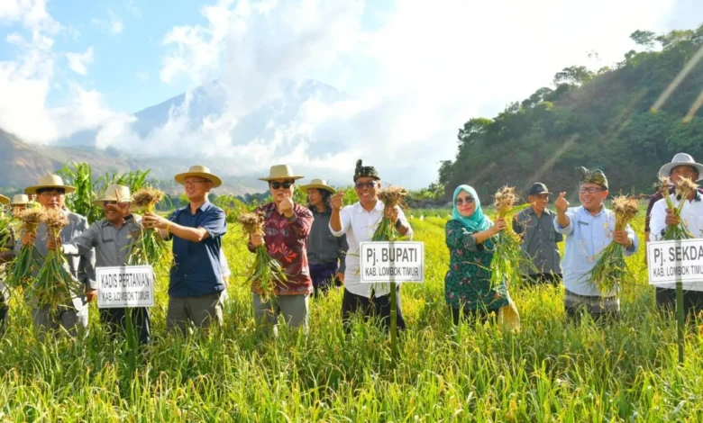 harga jual bawang putih