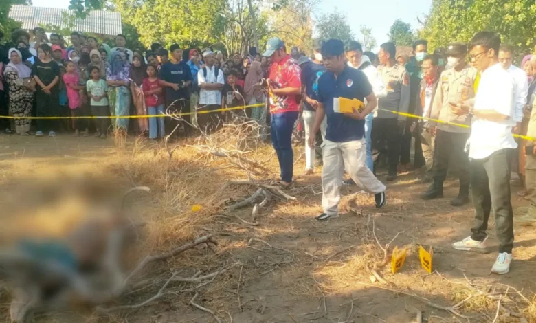 Penggembala sapi ditemukan tewas