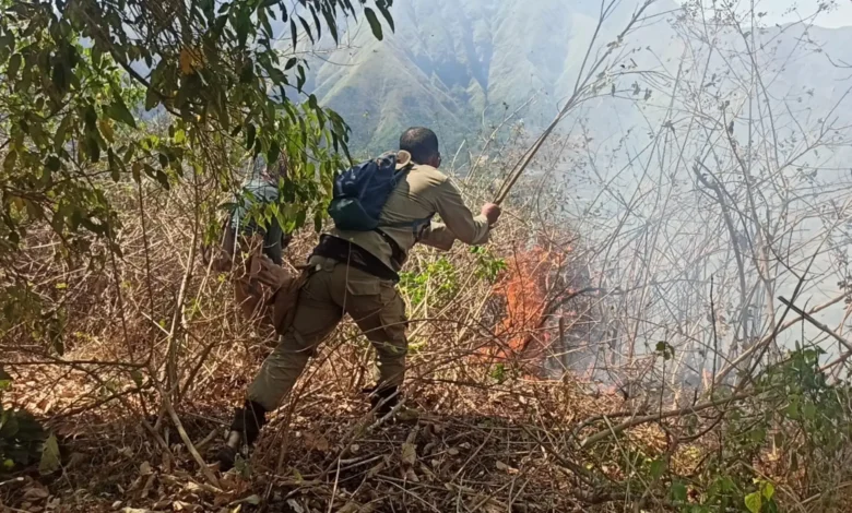Kebakaran Bukit Anak Dara Meluas