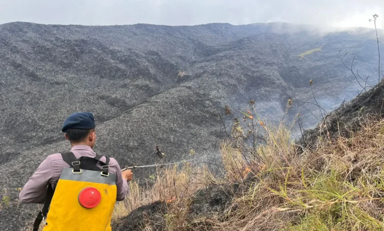 Bukit Anak Dara Terbakar