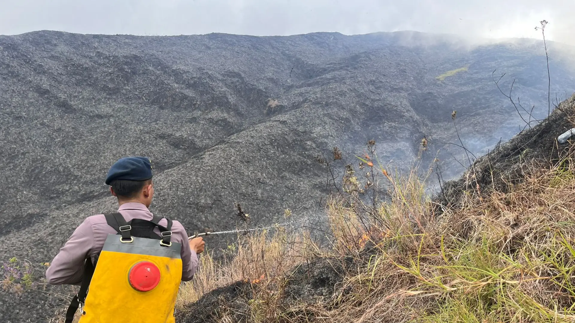 Bukit Anak Dara Terbakar