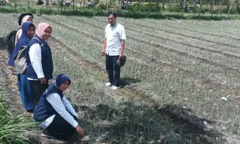 Kelompok Tani di Lombok Tengah