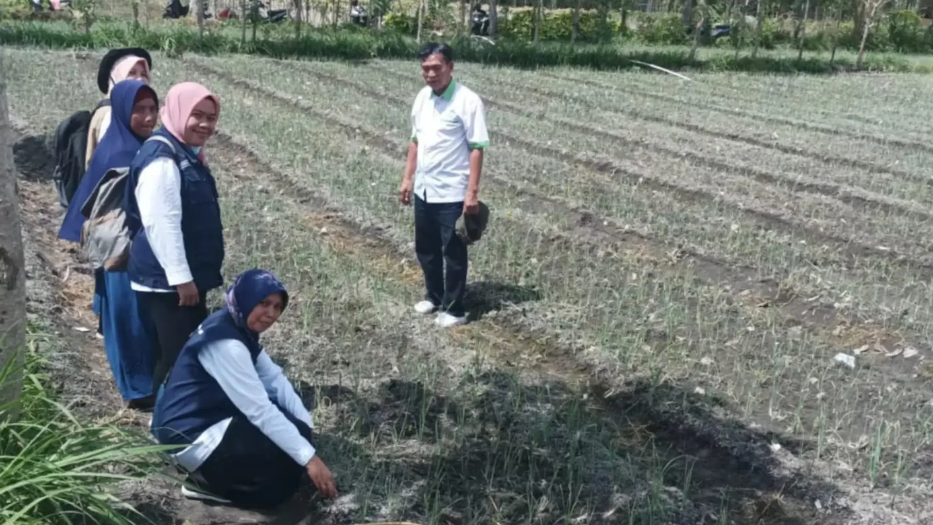 Kelompok Tani di Lombok Tengah