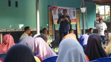 Calon Bupati Lombok Barat, Nauvar Furqani Farinduan alias Farin