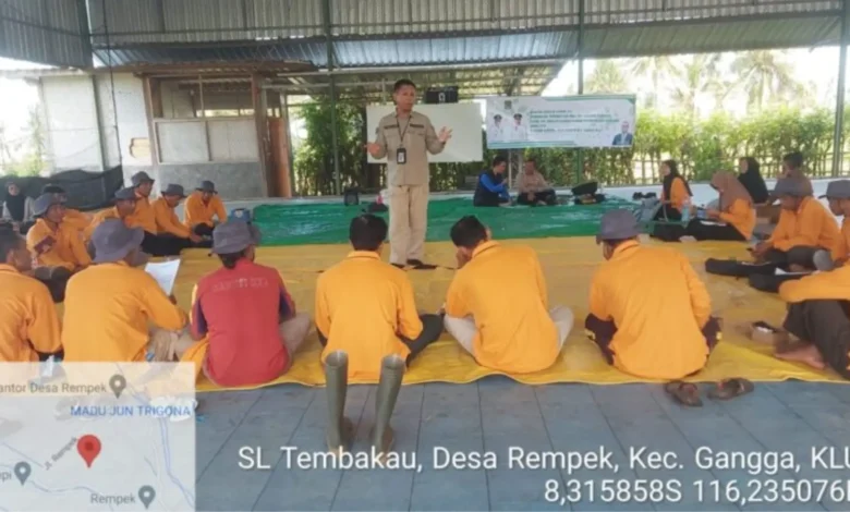 Pelatihan PGPR