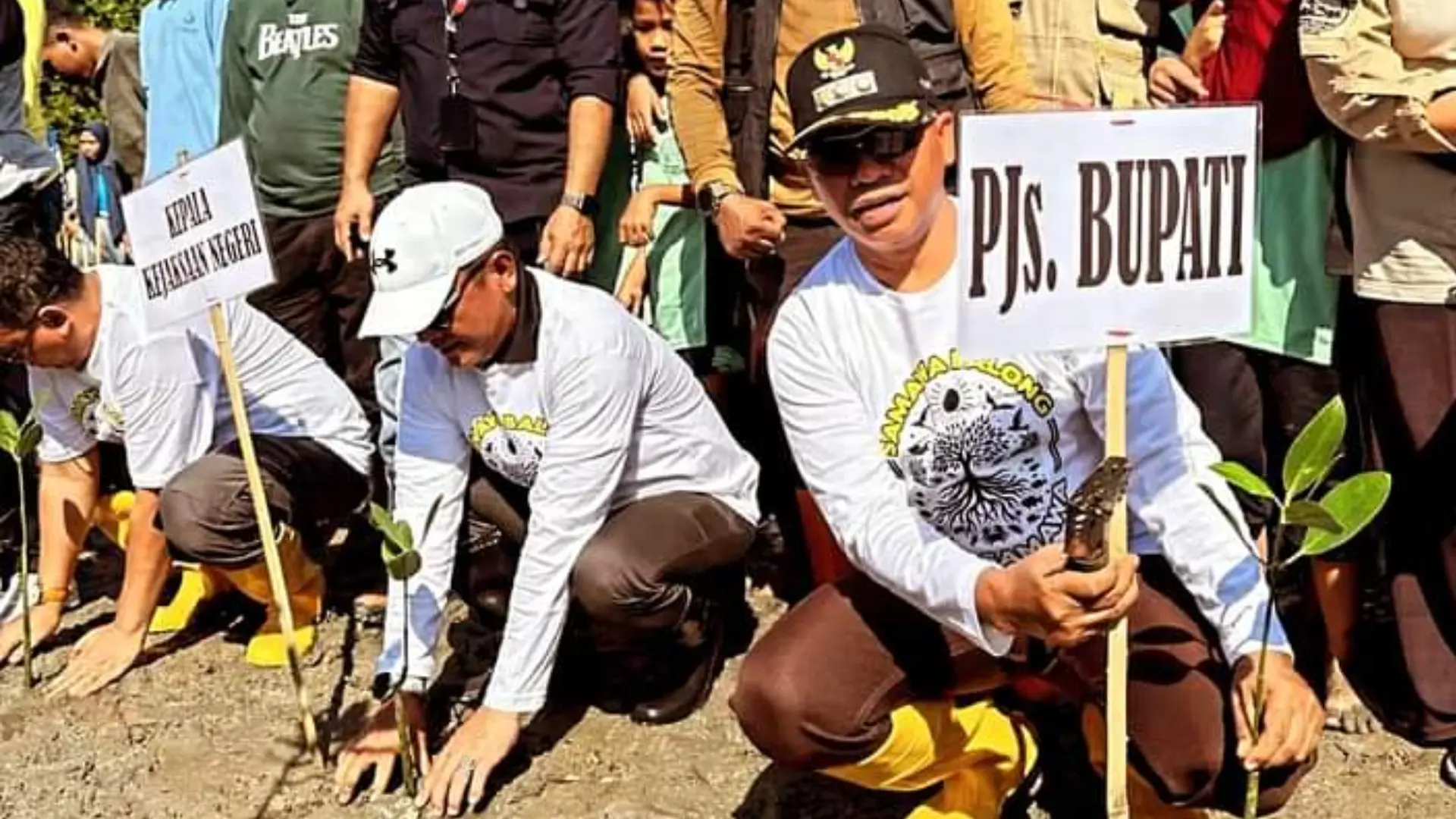 Pemkab Target Tanam 5.000 Mangrove