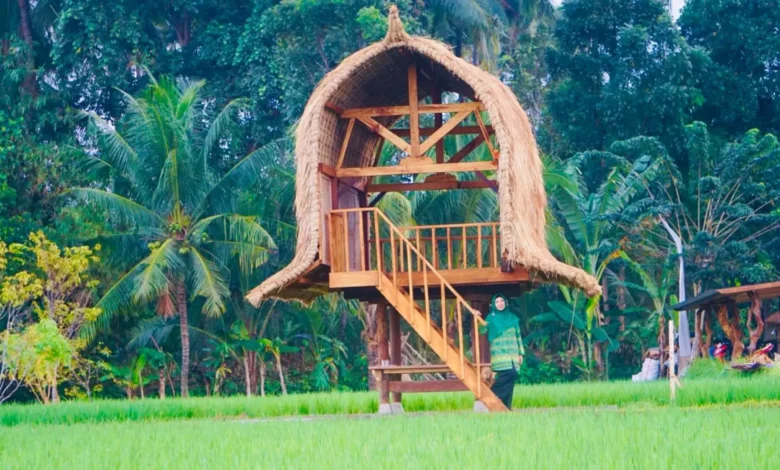Gagasan Rohmi Firin Sektor Pertanian
