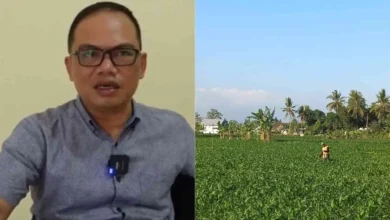 Walhi NTB prihatin lahan sawah di Kota Mataram kian sempit