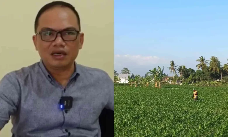 Walhi NTB prihatin lahan sawah di Kota Mataram kian sempit