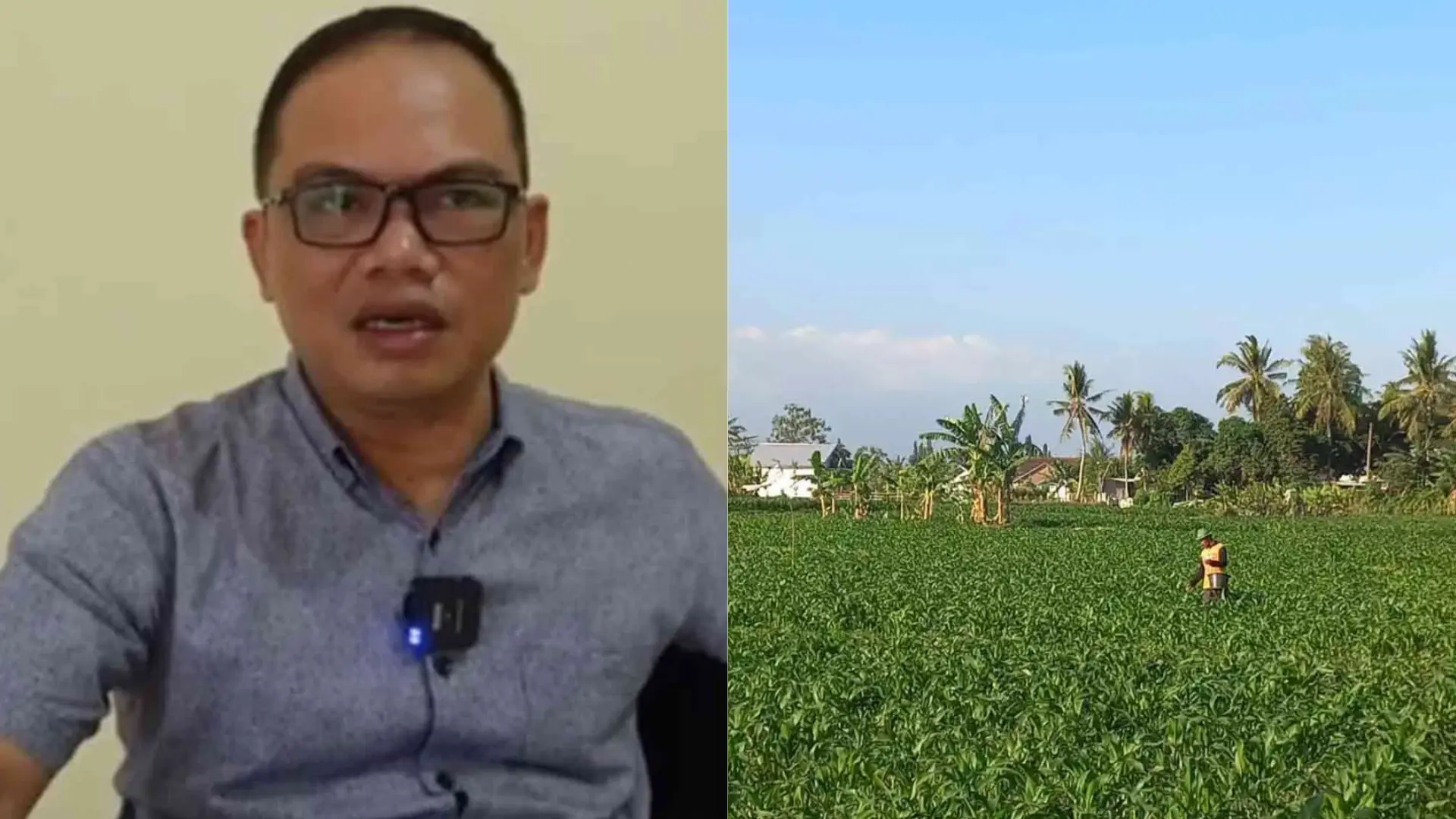 Walhi NTB prihatin lahan sawah di Kota Mataram kian sempit