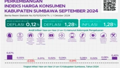 Inflasi Kabupaten Sumbawa