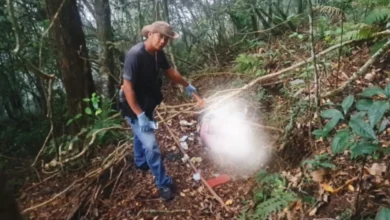 Mayat Misterius Ditemukan di Hutan Suela