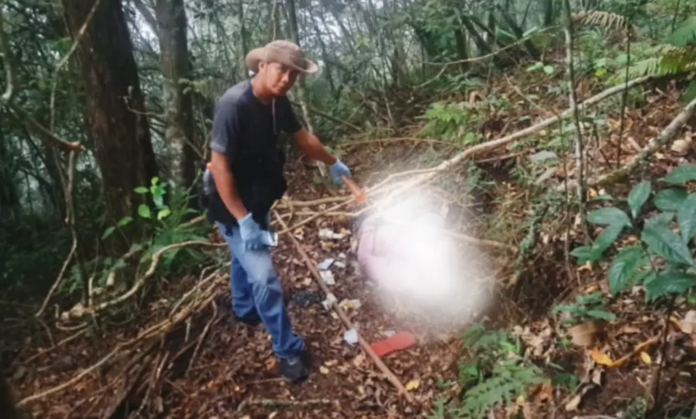 Mayat Misterius Ditemukan di Hutan Suela