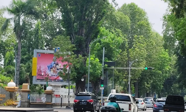 Pemangkasan Ranting Pohon di Kota Mataram