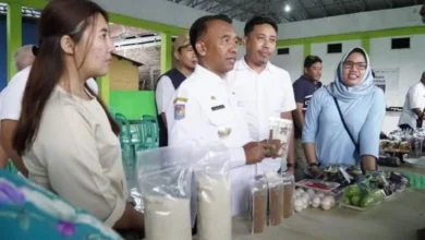 Program Bale Berdaya PT AMNT