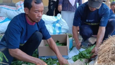 Bimtek CSA di Kabupaten Bima