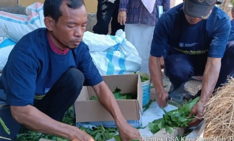 Bimtek CSA di Kabupaten Bima