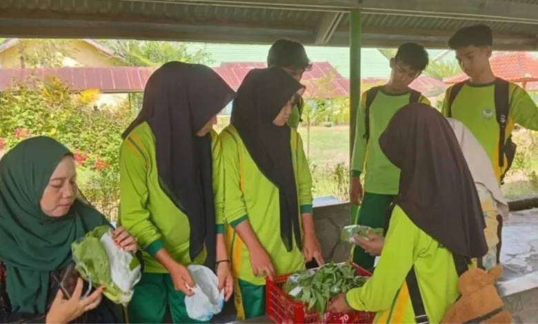 Panen Perdana Sayur SMK PP Negeri Bima
