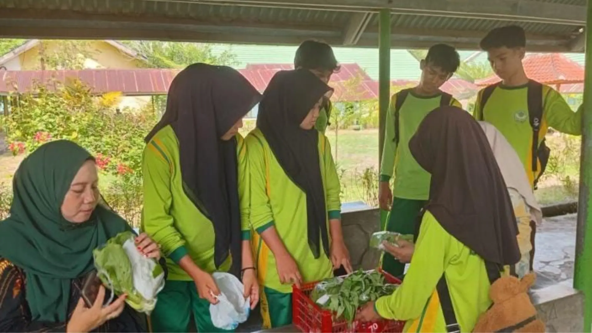 Panen Perdana Sayur SMK PP Negeri Bima