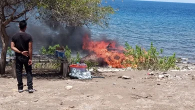 bangkai paus jenis sperma di Dusun Ntundu, Desa Nanga Wera, Kecamatan Wera, Kabupaten Bima