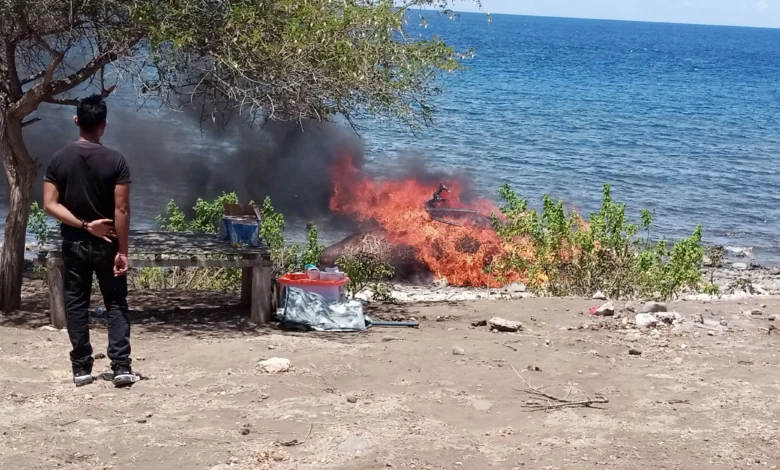 bangkai paus jenis sperma di Dusun Ntundu, Desa Nanga Wera, Kecamatan Wera, Kabupaten Bima