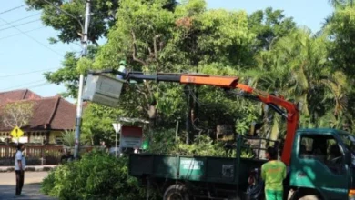 Cuaca Ekstrem Lombok Timur