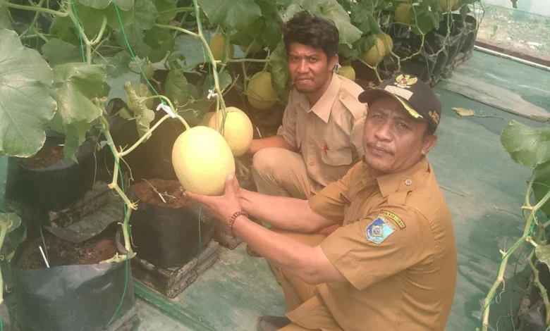 Program Ketahanan Pangan Pemdes Perampuan