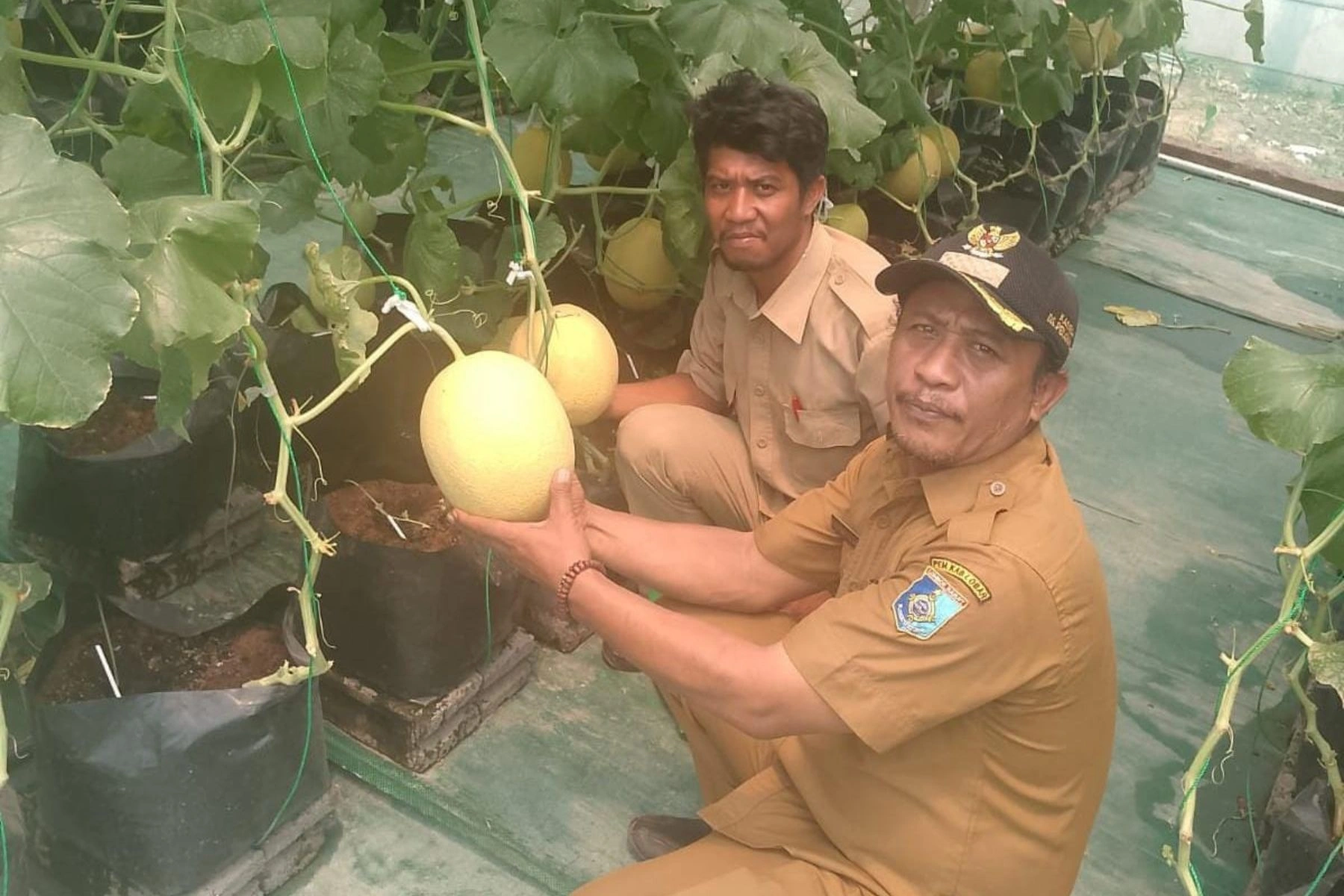 Program Ketahanan Pangan Pemdes Perampuan