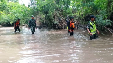 Peternak di Dompu Terseret Arus saat Selamatkan Sapi