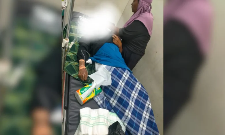 Warga Keracunan Ikan Buntal