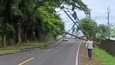 Tiang listrik roboh dan pohon tumbang