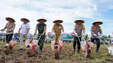 Pj. Gubernur NTB, Hassanudin saat penanaman jagung di Lombok Timur