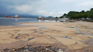 Gumpalan Buih di Teluk Bima