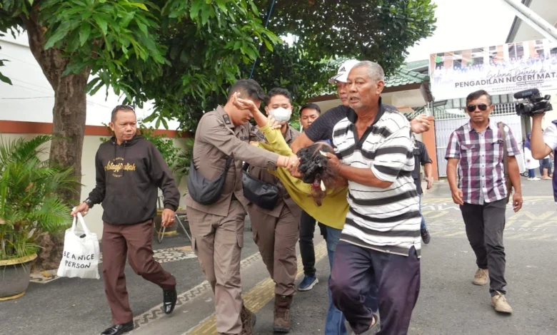 Ibu Agus Pingsan