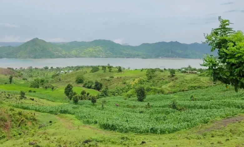 Potret kawasan Dusun Meang Pangsing Sekotong Lombok Barat