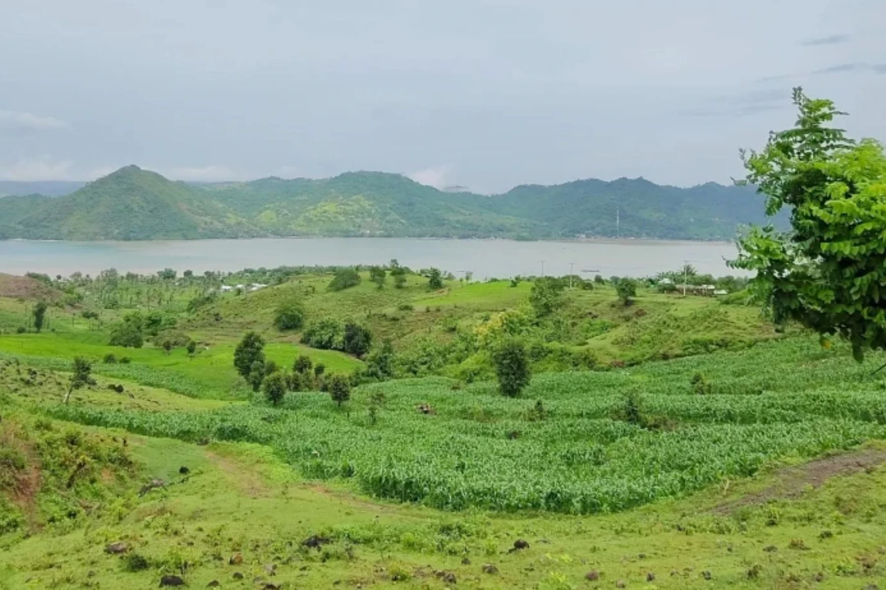 Potret kawasan Dusun Meang Pangsing Sekotong Lombok Barat