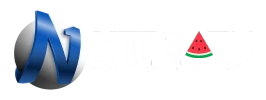 NTBSatu