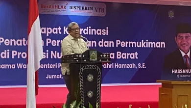 Wakil Menteri PKP Fahri Hamzah Instruksi Larangan Pembangunan di Lahan Sawah