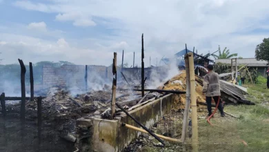 Kebakaran Hebat Kandang Ayam di Sakra Barat Lombok Timur