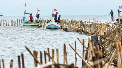 Nelayan Bongkar Pagar Laut