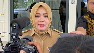 Wakil Gubernur Wagub NTB Indah Dhamayanti Putri Sistem Meriktokrasi Pemprov NTB
