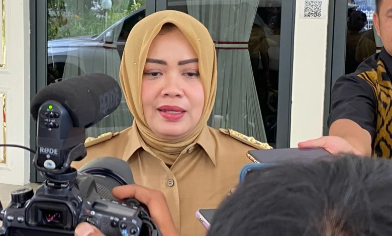 Wakil Gubernur Wagub NTB Indah Dhamayanti Putri Sistem Meriktokrasi Pemprov NTB