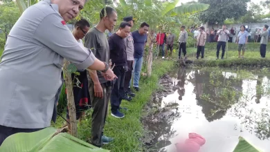 Perempuan 75 Tahun Ditemukan Tewas di Kolam Kangkung